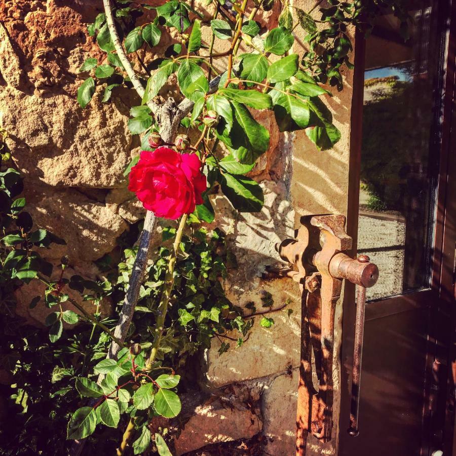 Le Clos D'Olea Oppède Dış mekan fotoğraf